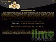 BMI +