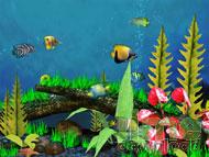 Aquarium 3D Screensaver