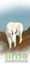 Hunting Unlimited