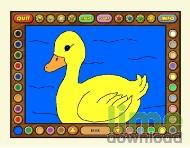 COLORING BOOK