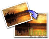 Nature Illusion Studio