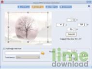 SWF to Video Converter