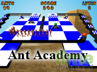 Ant Academy
