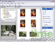 Image Viewer