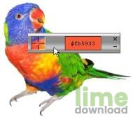 Color Picker