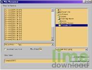 File Renamer