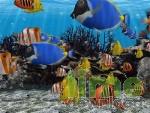 3D Fish School Screensaver