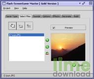 Flash Screensaver Master