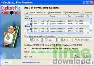 Duplicate File Remover