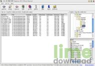101 AVI MPEG WMV Converter
