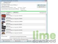 Bulk Image Downloader