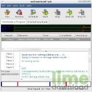 wxDownload Fast