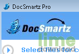 Docsmartz Professional