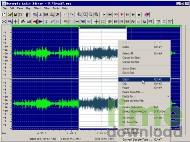 Naturpic Audio Editor
