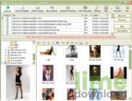 WebPictureGrabber