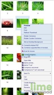 Morz Image Converter