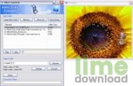 Amic Video Converter
