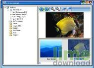 Image Viewer In Depth