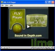 FLV Player