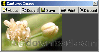 spider_captured.gif