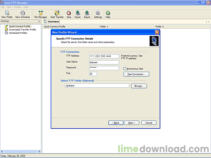 Auto FTP Manager