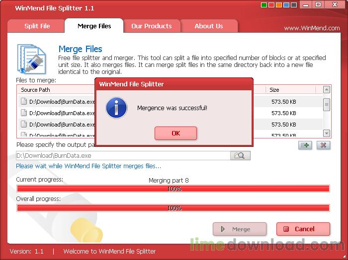 WinMend File Splitter
