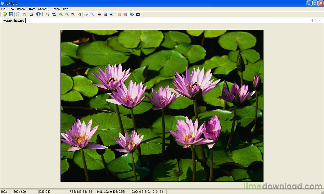 icphoto.jpg
