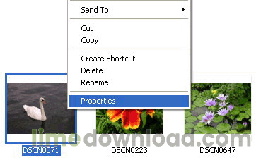 exiffarm_use01.gif