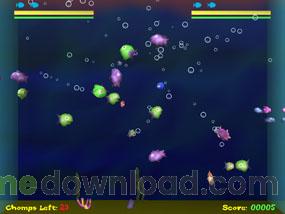 chowder-win_4.jpg