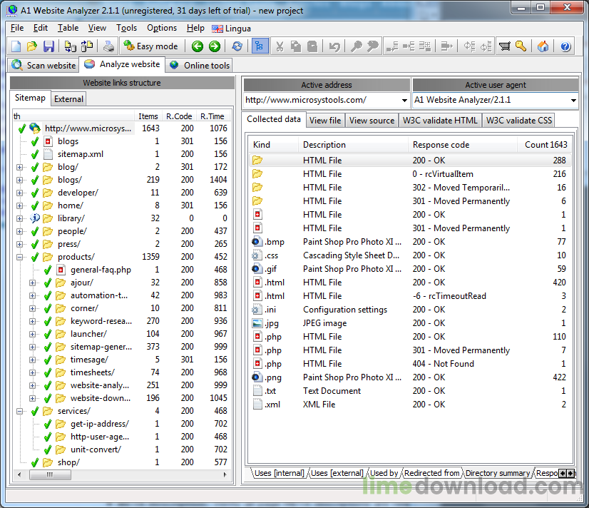 A1 Website Analyzer