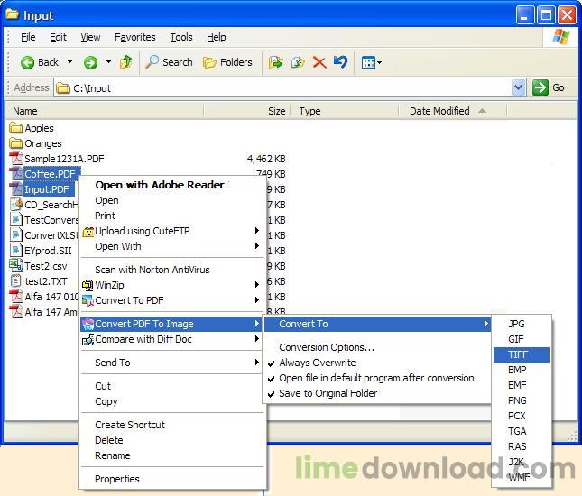 Convert PDF To Image