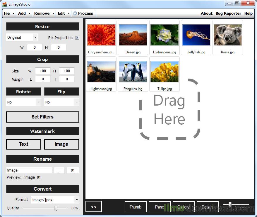 bimagestudio_screenshot_2.jpg
