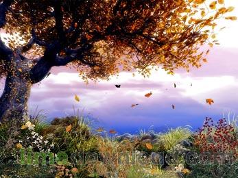 3D Trees Screensaver