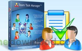 Team Task Manager