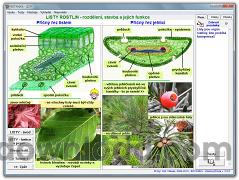 BOTANIKA - Zelená příroda