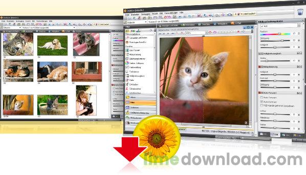 collage-down_5.jpg