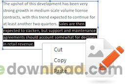Nitro PDF Professional