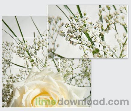 ACDSee Photo Studio Professional