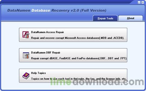 DataNumen Database Recovery