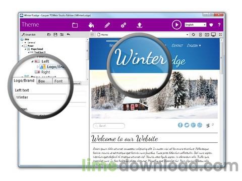 toweb-theme-editor-en.jpg