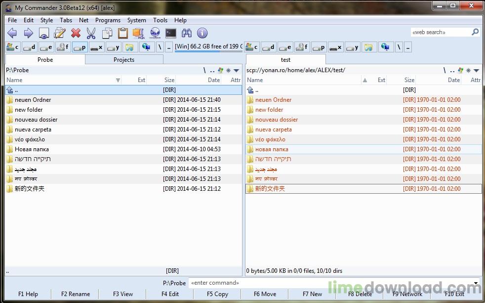 myco-snapshot2.jpg