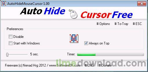 AutoHideMouseCursor