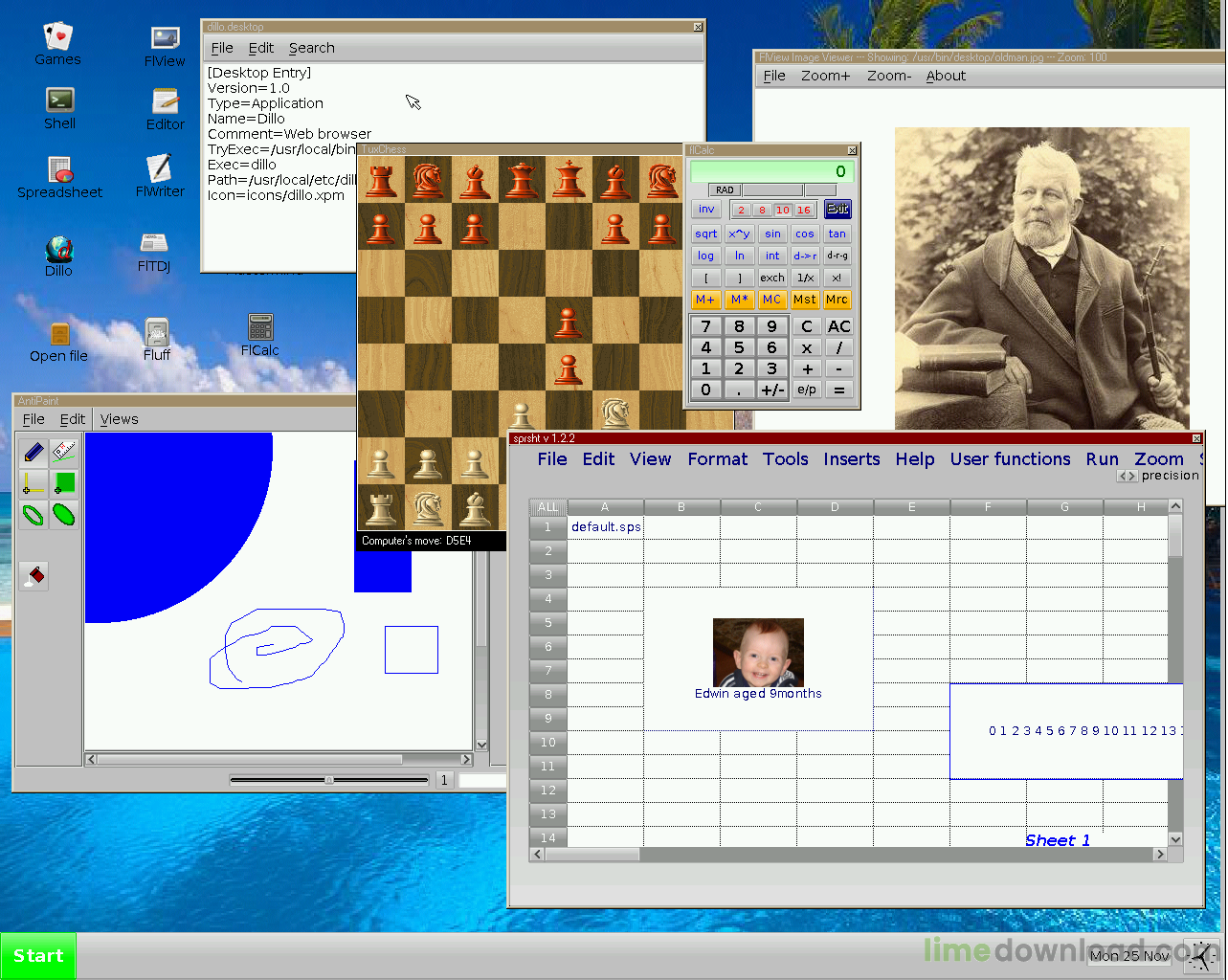 nanolinux-desktop.png