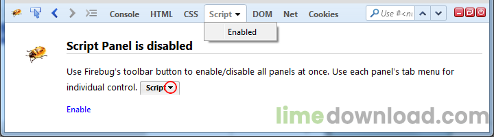 enablingfirebug.png