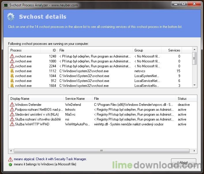 Svchost Process Analyzer