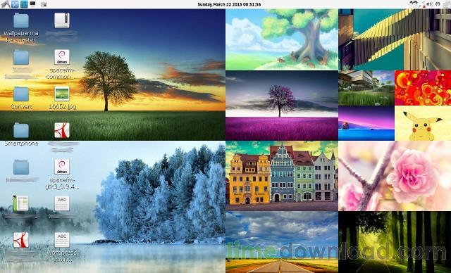 wpmaker-collage-example.jpeg