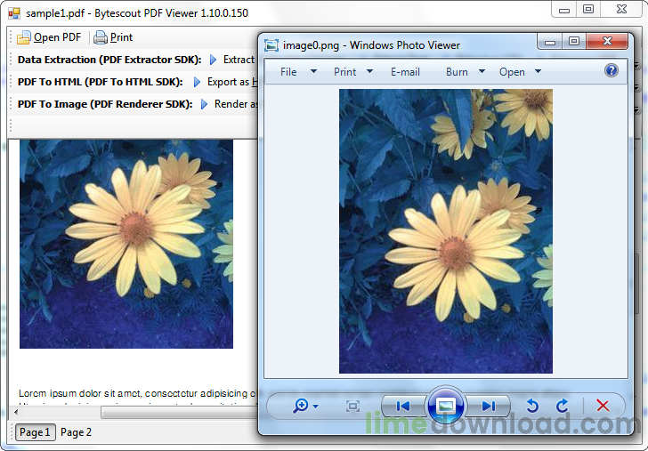 pdfextractorsdk_screenshot_image.png