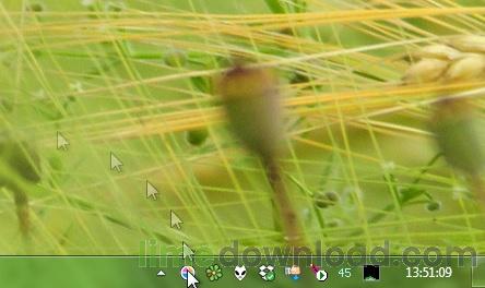 fghfd.jpg