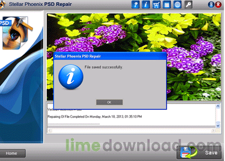 Stellar Phoenix PSD Repair