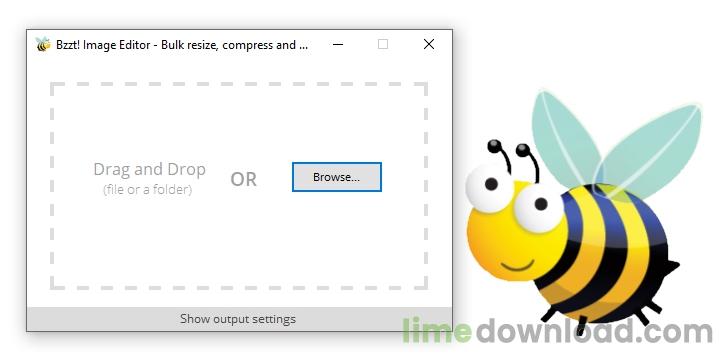 Bzzt! Image Editor